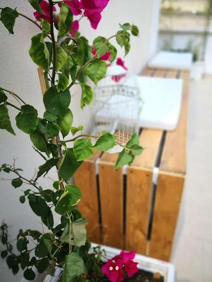 Alojamento de Acomodação e Pequeno-almoço La Roche Acomodação com café da manhã Lecce Itália